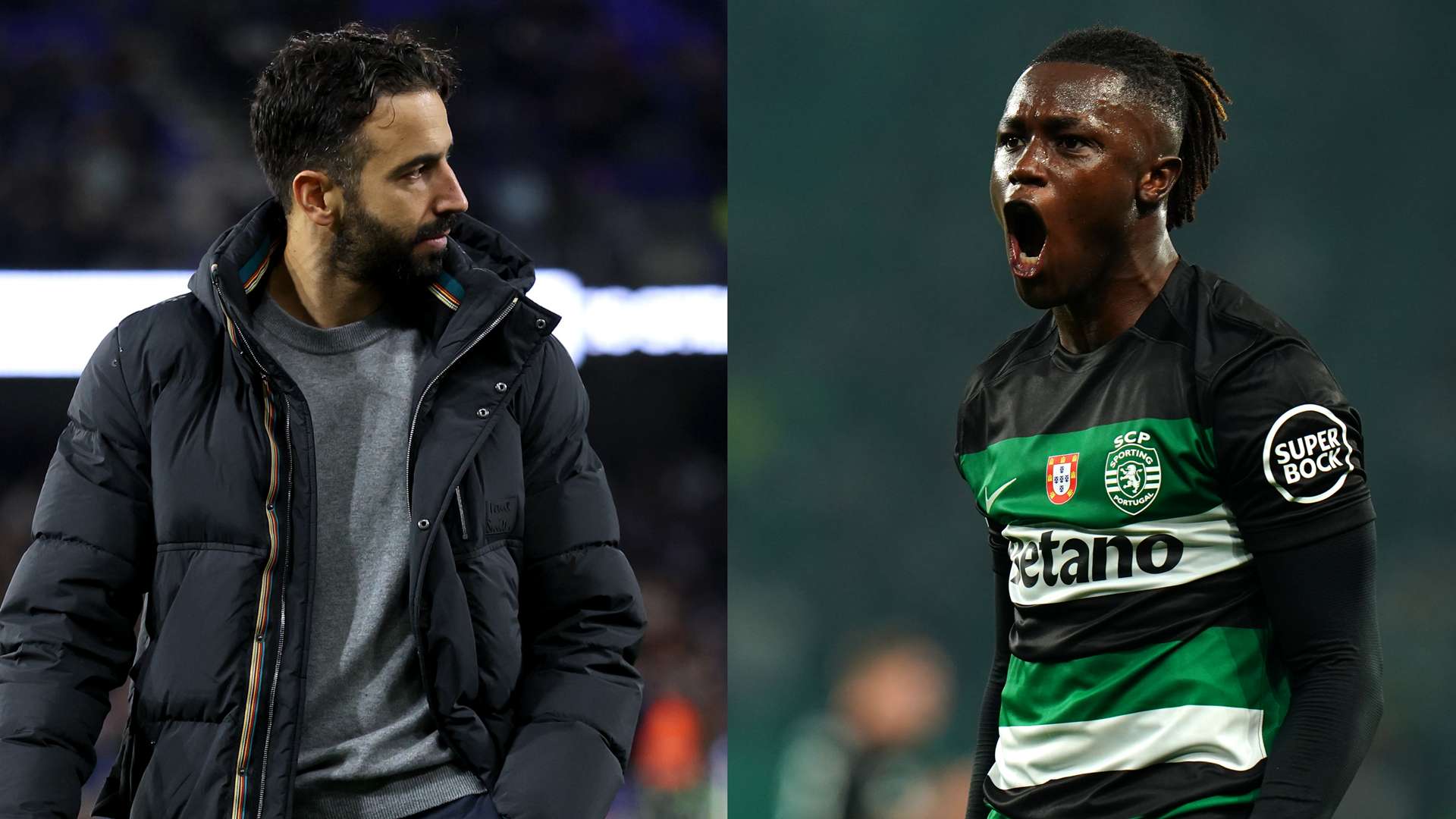 是培育年轻 是培育年轻