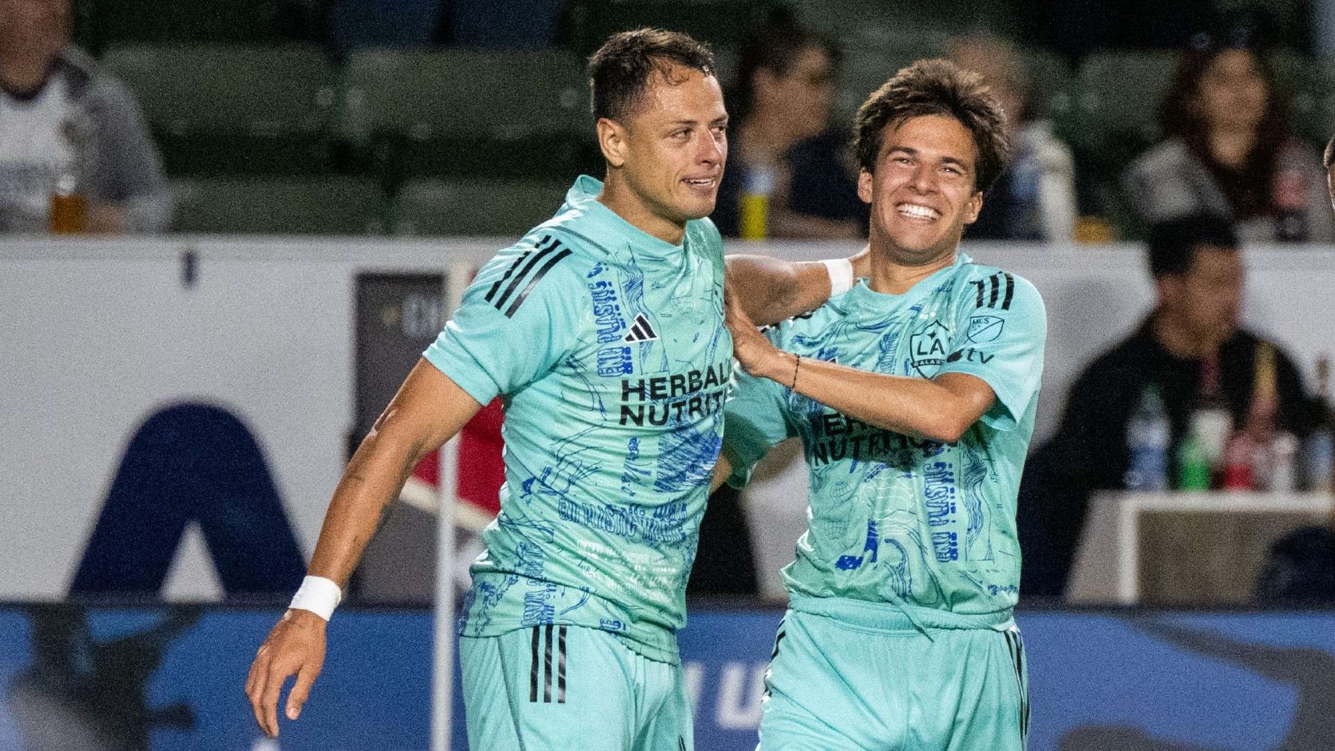 专业的训练 专业的训练