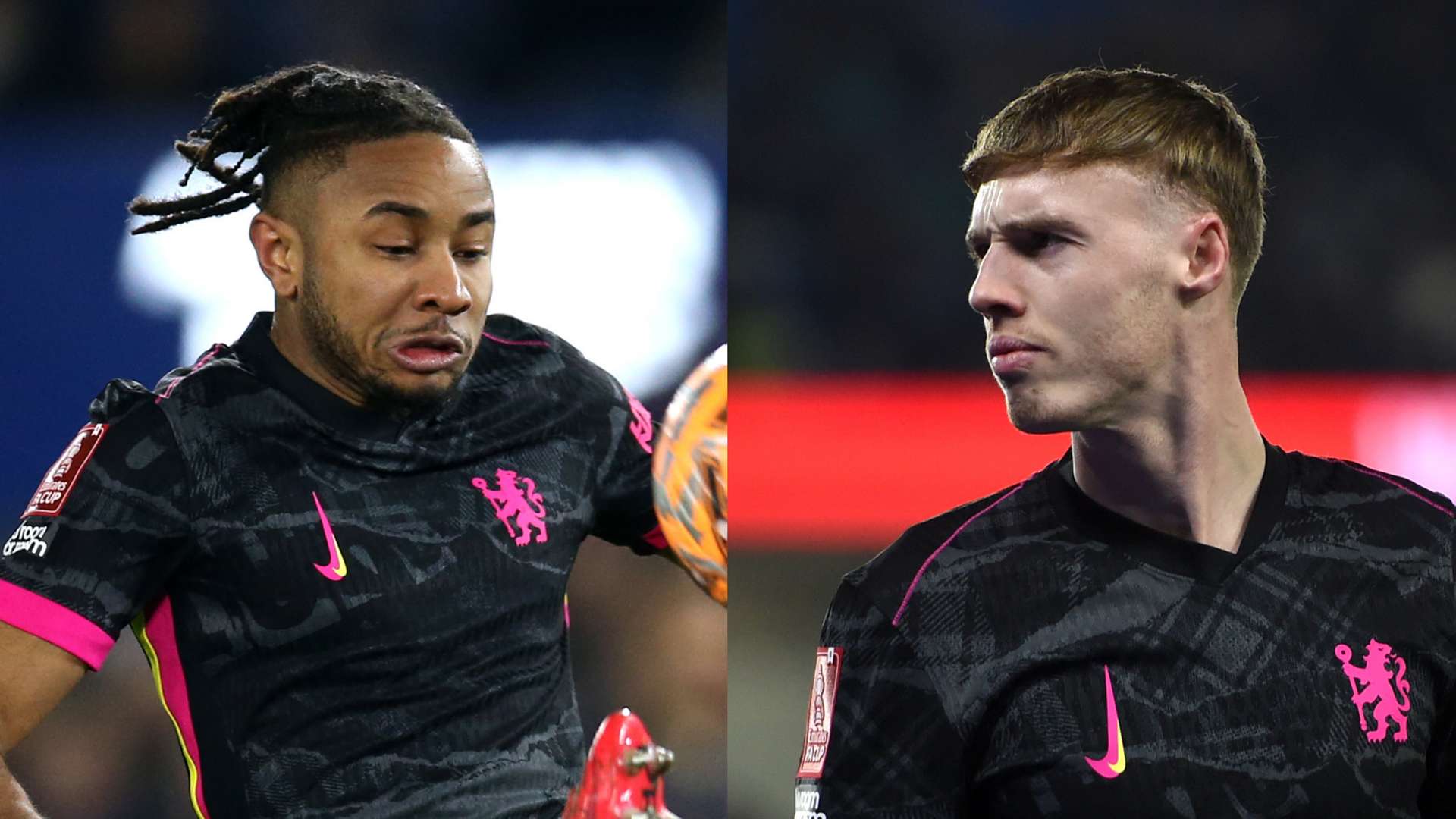 王博还特别 王博还特别